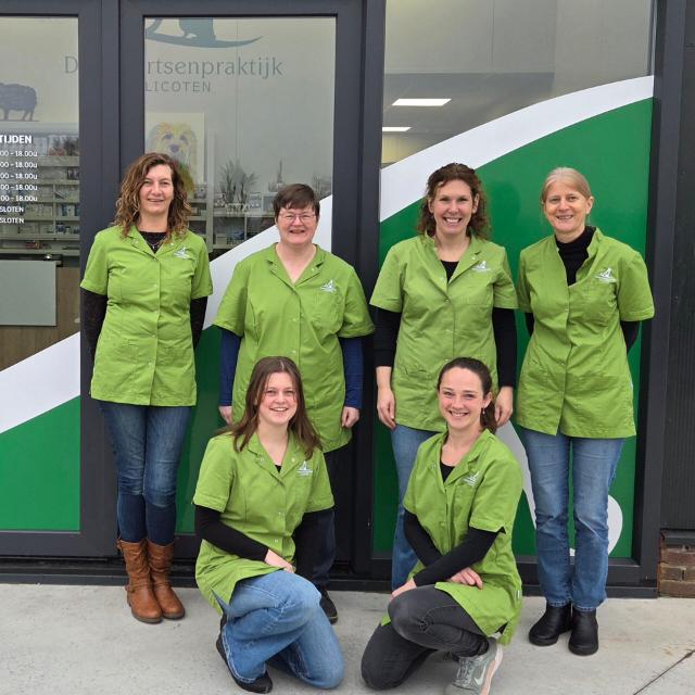 Team Dierenartsenpraktijk Ulicoten 2026